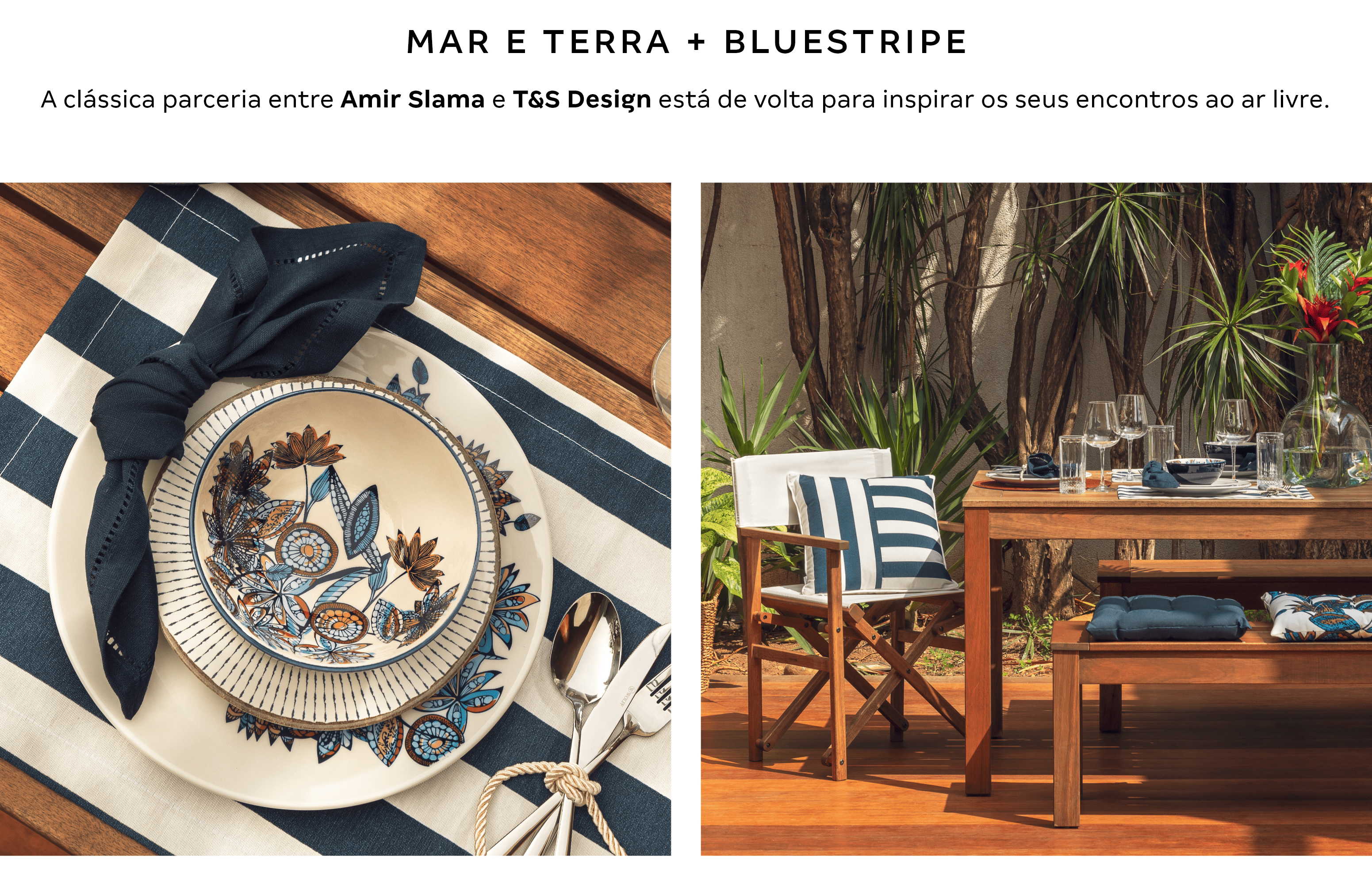 Banner - MAR E TERRA + BLUESTRIPE