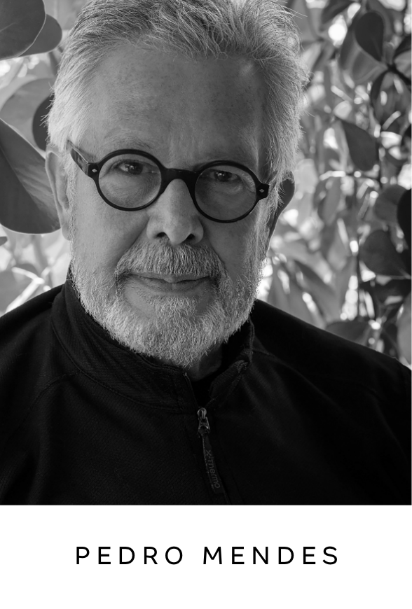 Pedro Mendes