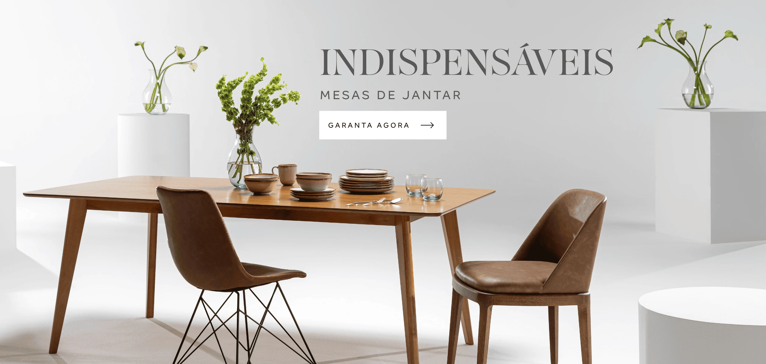 BF-04-01-Indispensaveis-3103