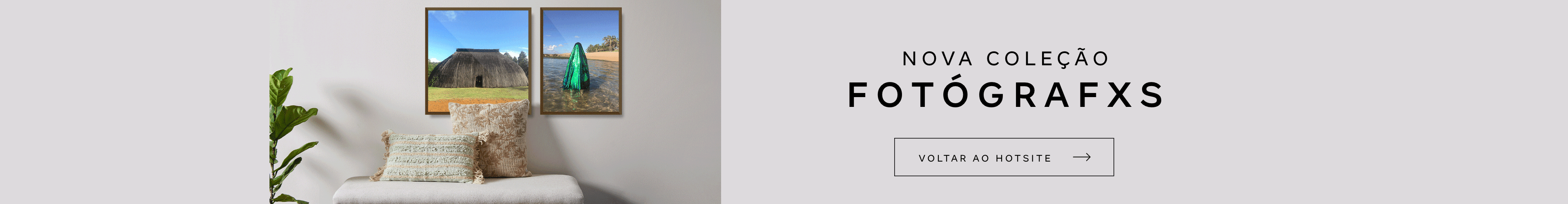 Banner Topo - Voltar ao Hotsite Projeto Fotógrafos