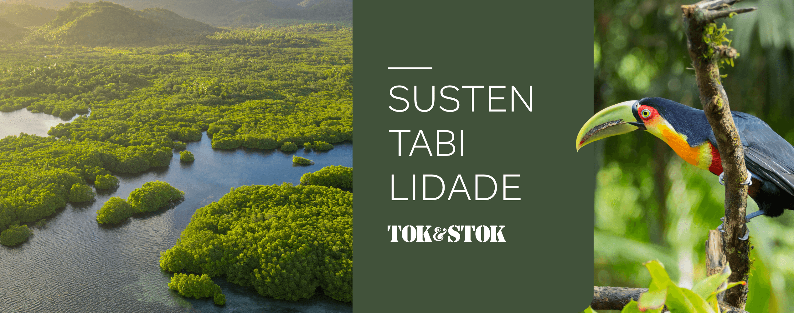 Sustentabilidade - Ações ESG | Tok&Stok