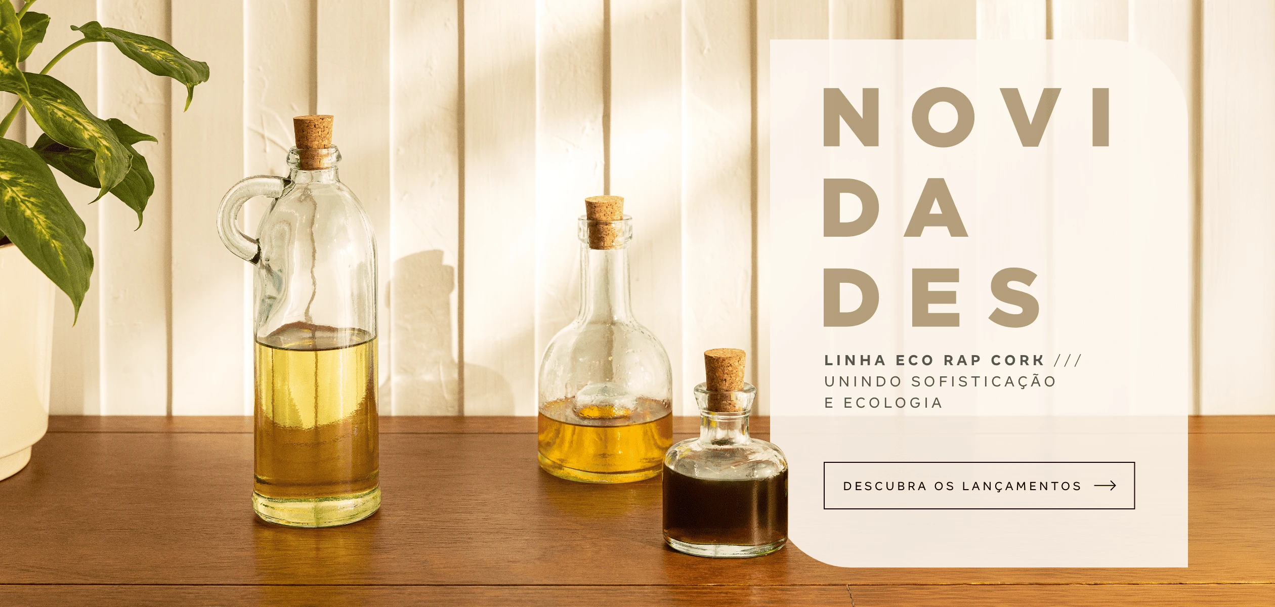 BP-01-03-Novidades-1003